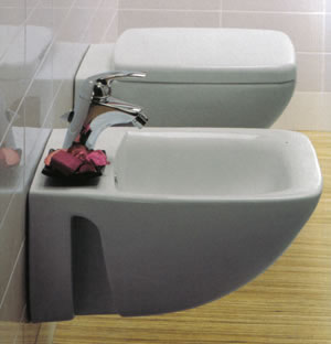 WC-Istuin, 	
Pesualtaat