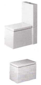 WC-Istuin, Pesuallas