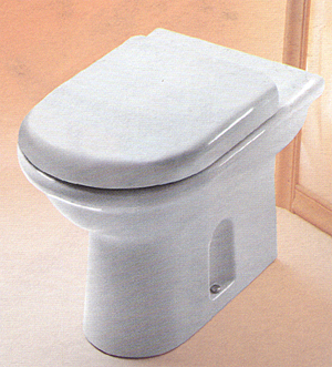 WC-Istuin,
Pesualtaat