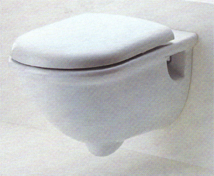 WC-Istuin,
Pesualtaat