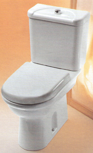 WC-Istuin,
Pesualtaat