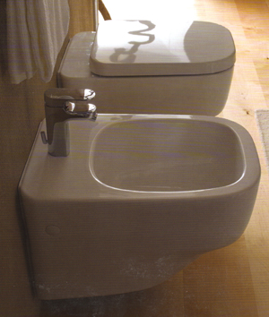 WC-Istuin,
Pesualtaat