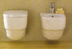 WC-Istuin,
Pesualtaat